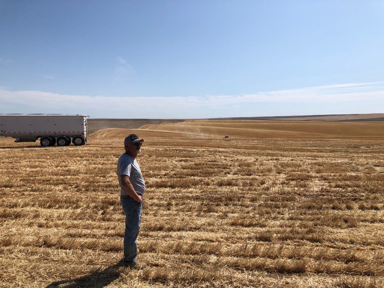 Community Comes Together To Help Harvest Ritzville Farmer's Wheat While He Battles Cancer